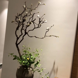 綠植